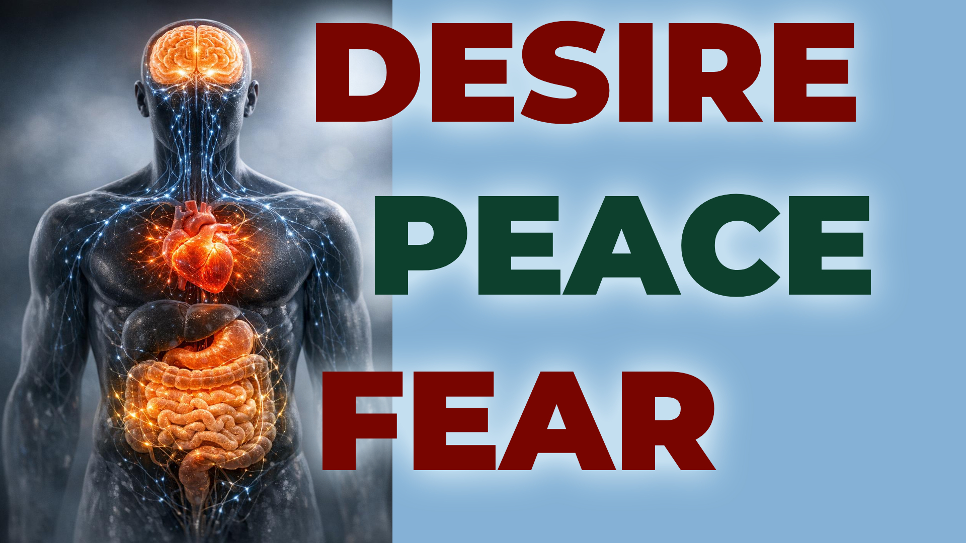 Your 3 Brains: The Secret behind Fear, Desire, and Peace
